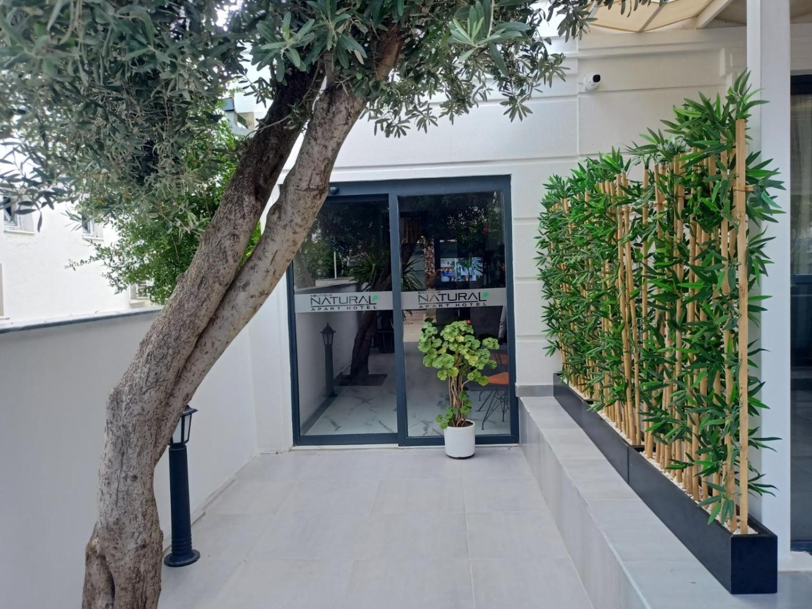 Boutique Natural Apart Hotel ケメル エクステリア 写真